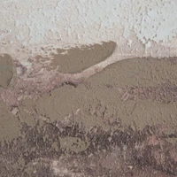 Kép 2/3 - Falikép 689 Bézs 80x100x4 cm 1