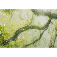 Kép 4/7 - Falikép lakkozott erdei részlet kerettel 90x4x60 cm 2