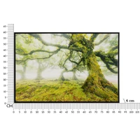 Kép 2/7 - Falikép lakkozott erdei részlet kerettel 90x4x60 cm 6