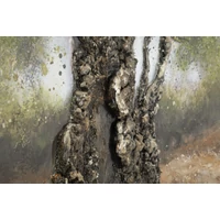 Kép 3/6 - Festmény olivafa -c- 120x3,8x80 cm 2
