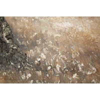 Kép 4/6 - Festmény olivafa -c- 120x3,8x80 cm 3
