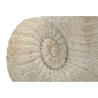 Kép 7/8 - Kagyló formájú váza homokkő hatás bézs -A- 33X19X23 cm 4