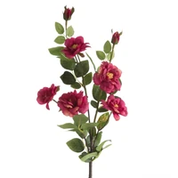 Kép 1/2 - Rózsa 428 Magenta
