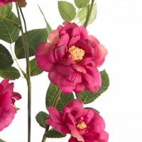 Kép 2/2 - Rózsa 428 Magenta 1