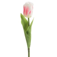 Kép 1/2 - Tulipán 467 Rózsaszín