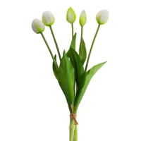 Kép 1/2 - Tulipán 473 Fehér