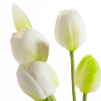 Kép 2/2 - Tulipán 473 Fehér 1