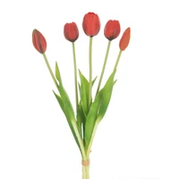Kép 1/2 - Tulipán 473 Piros