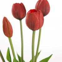 Kép 2/2 - Tulipán 473 Piros 1