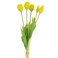 Kép 1/2 - Tulipán 473 Sárga