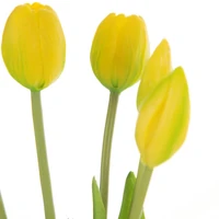 Kép 2/2 - Tulipán 473 Sárga 1
