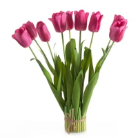 Kép 1/3 - Tulipán 476 Magenta