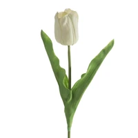 Kép 1/2 - Tulipán 477 Fehér