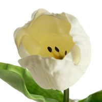 Kép 2/2 - Tulipán 477 Fehér 1
