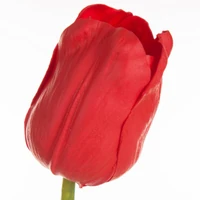 Kép 2/2 - Tulipán 477 Piros 1