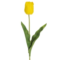 Kép 1/2 - Tulipán 477 Sárga