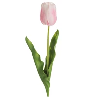 Kép 1/2 - Tulipán 477 Világos rózsaszín