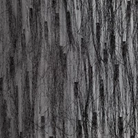 Kép 11/11 - Aurora Eva Minge függöny Fekete 140x250 cm 5