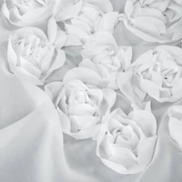 Kép 2/10 - Diana díszes fényáteresztő függöny Fehér 350x160 cm 6