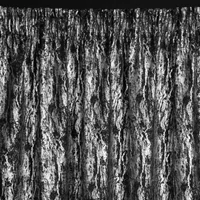 Kép 8/10 - Elise sötétítő függöny Fekete 140x270 cm 3