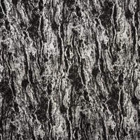 Kép 9/10 - Elise sötétítő függöny Fekete 140x270 cm 4