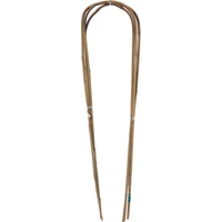 Kép 1/5 - ARC BAMBOO - Ívelt bambusz karó 0,9 m bambusz (3 db/köteg)
