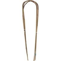 Kép 1/5 - ARC BAMBOO - Ívelt bambusz karó 0,9 m bambusz (3 db/köteg)