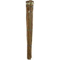Kép 10/13 - 2 m bambusz
