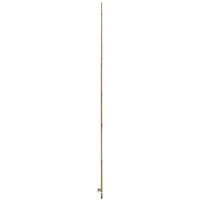 Kép 11/13 - BAMBOO - Bambusz termesztő karó