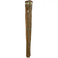 Kép 10/13 - 1 m bambusz
