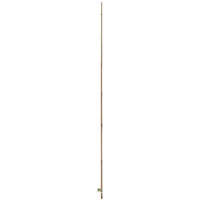 Kép 11/13 - BAMBOO - Bambusz termesztő karó