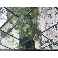 Kép 6/10 - 42 x 1