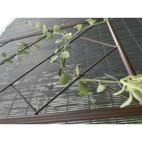 Kép 9/10 - 42 x 1
