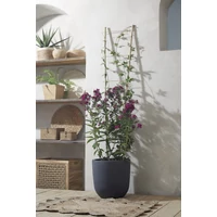 Kép 2/3 - ECHELLE BAMBOO Bambusz növénylétra 150 x 40 cm bambusz