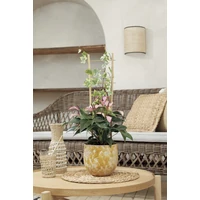 Kép 2/3 - ECHELLE BAMBOO Bambusz növénylétra 60 x 20 cm bambusz