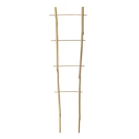 Kép 1/3 - ECHELLE BAMBOO Bambusz növénylétra 60 x 20 cm bambusz