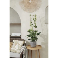 Kép 2/3 - ECHELLE BAMBOO Bambusz növénylétra 90 x 25 cm bambusz