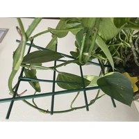 Kép 4/5 - ECHELLE - Műanyag létra 37 cm zöld