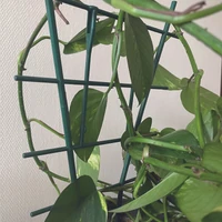 Kép 2/5 - ECHELLE - Műanyag létra 50 cm zöld