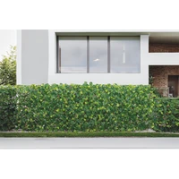 Kép 1/5 - EXTENSY GREEN  - Kihúzható apácarács műlevelekkel borítva, 0,9 x 1,8 m, zöld-barna