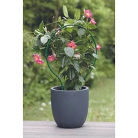 Kép 2/4 - PLAST ARC - Ívelt növénytámasztó h42 x 32 cm cm zöld