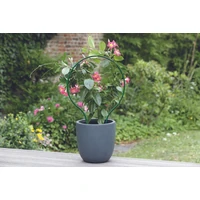 Kép 4/4 - PLAST ARC - Ívelt növénytámasztó h42 x 32 cm cm zöld