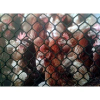 Kép 1/3 - POULTRY MESHES (B-92) - Műanyag baromfirács 0,9 x 25 m zöld (20 x 20 mm)