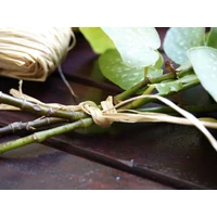 Kép 7/9 - RAPHIA - Természetes raffia kötöző 50g színes
