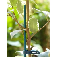 Kép 3/4 - 4 m zöld (25 db/csomag)