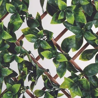 Kép 2/3 - TRELLIBAMBU BUXUS - Bambusz apácarács buxus díszlevelekkel 1 x 2 m zöld-barna