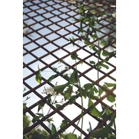 Kép 4/10 - TRELLIWILLOW - Kihúzható fonott apácarács