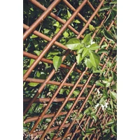 Kép 8/10 - TRELLIWILLOW - Kihúzható fonott apácarács