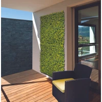 Kép 3/10 - VERTICAL BUXUS - Zöldfal buxus levelekkel 1 x 1 m zöld