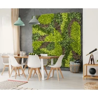 Kép 1/8 - VERTICAL COSTA - Zöldfal vegyes levelekkel 1 x 1 m többszínű